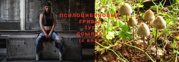 прущий лед Абаза