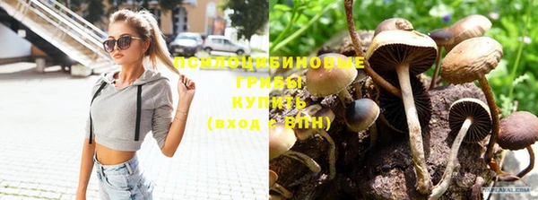спиды Абдулино