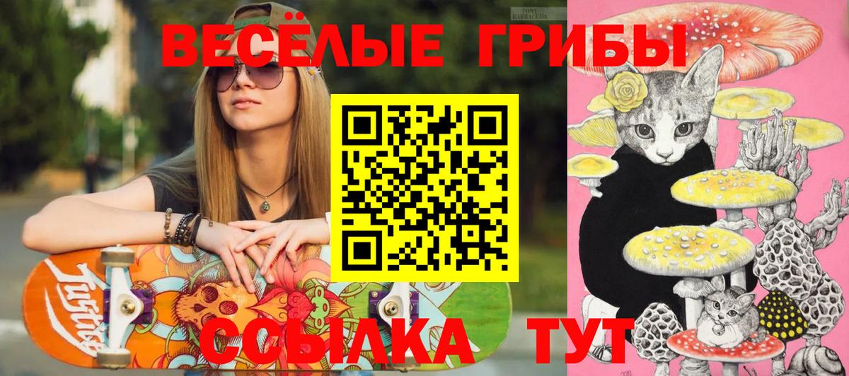Галлюциногенные грибы Psilocybe  Галлюциногенные грибы прущие грибы  Прокопьевск  Вход с VPN 
